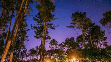 واجهة المنشأة - في المساء/الليل