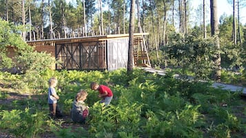 Children’s activities