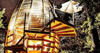 Cap'Cabane