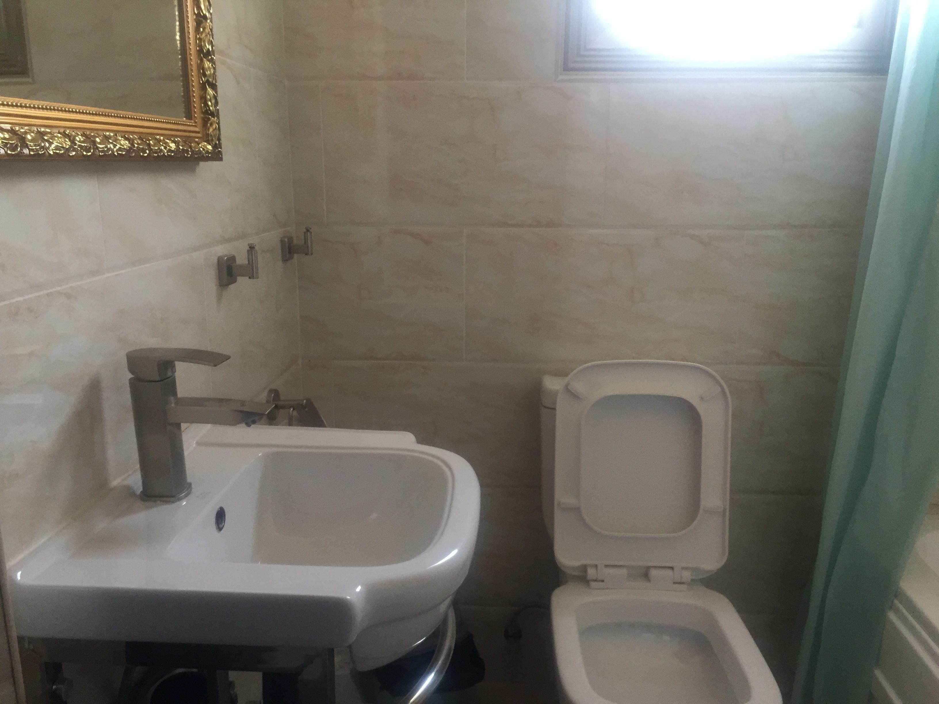 A bathroom with a sink, a toilet, and a mirror with a gold frame.