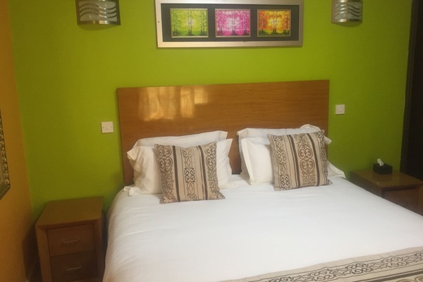 Standard Double Room, 1 Queen Bed | Desk, iron/ironing board, free WiFi, bed sheets