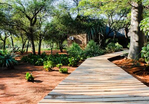 Un sentier en bois traverse un jardin où l’on trouve différentes espèces de plantes et d’arbres.