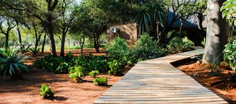 Zingela Nature Reserve - Leadwood Lodge