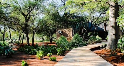 Zingela Nature Reserve - Leadwood Lodge