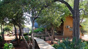 A rustic wooden cabin with a brick exterior, surrounded by lush greenery and a wooden deck. - Zingela Nature Reserve - Leadwood Lodge (Blouberg)