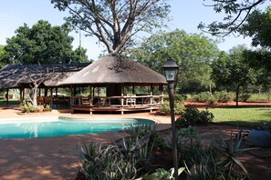 Outdoor pool - Zingela Nature Reserve - Leadwood Lodge (Blouberg)