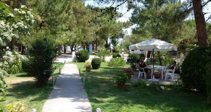 Villa Iris