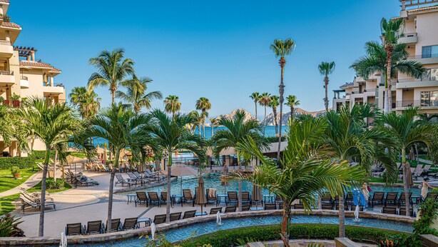 A resort pool area with lounge chairs and palm trees.