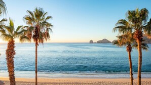 A beach with palm trees and a clear view of the ocean.