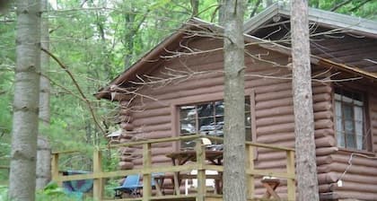 Hirsitalo Wequasjärvellä, koiraystävällinen, takka, ilmaiset veneet