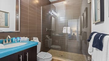 Shower, hair dryer, towels