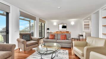 TV, fireplace, DVD player