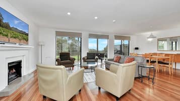 TV, fireplace, DVD player