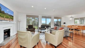TV, fireplace, DVD player