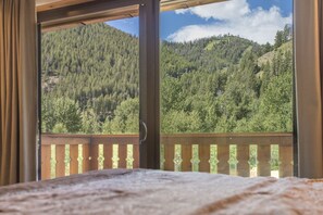 Interior - Great 2 bed townhouse. This is the best location in Ketchum! (Ketchum)