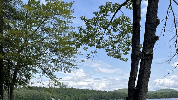 A lakeside campsite with picnic tables, a dock, and boats. - A beautiful lake view cabin on Friends Lake   (Chestertown)