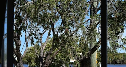 Enjoy the waterfront and outdoor activities while staying at our place!