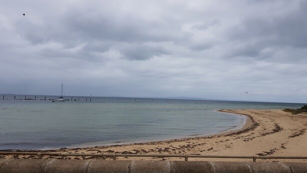 A beach with a sandy shore, calm water, and a cloudy sky. - Rigby's cozy hideout (St Leonards)