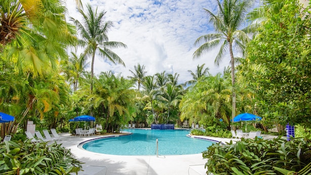 A pool surrounded by palm trees and blue umbrellas, with lounge chairs and a clear sky.