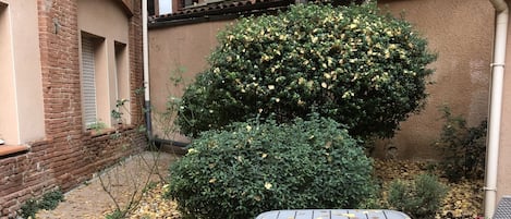 Vista dalla camera