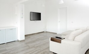 Flat-screen TV