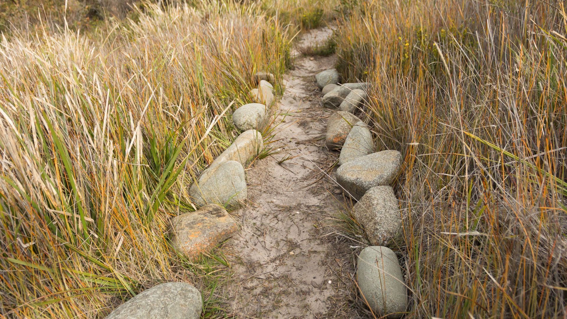 Larus Waterfront Cottage — image 16