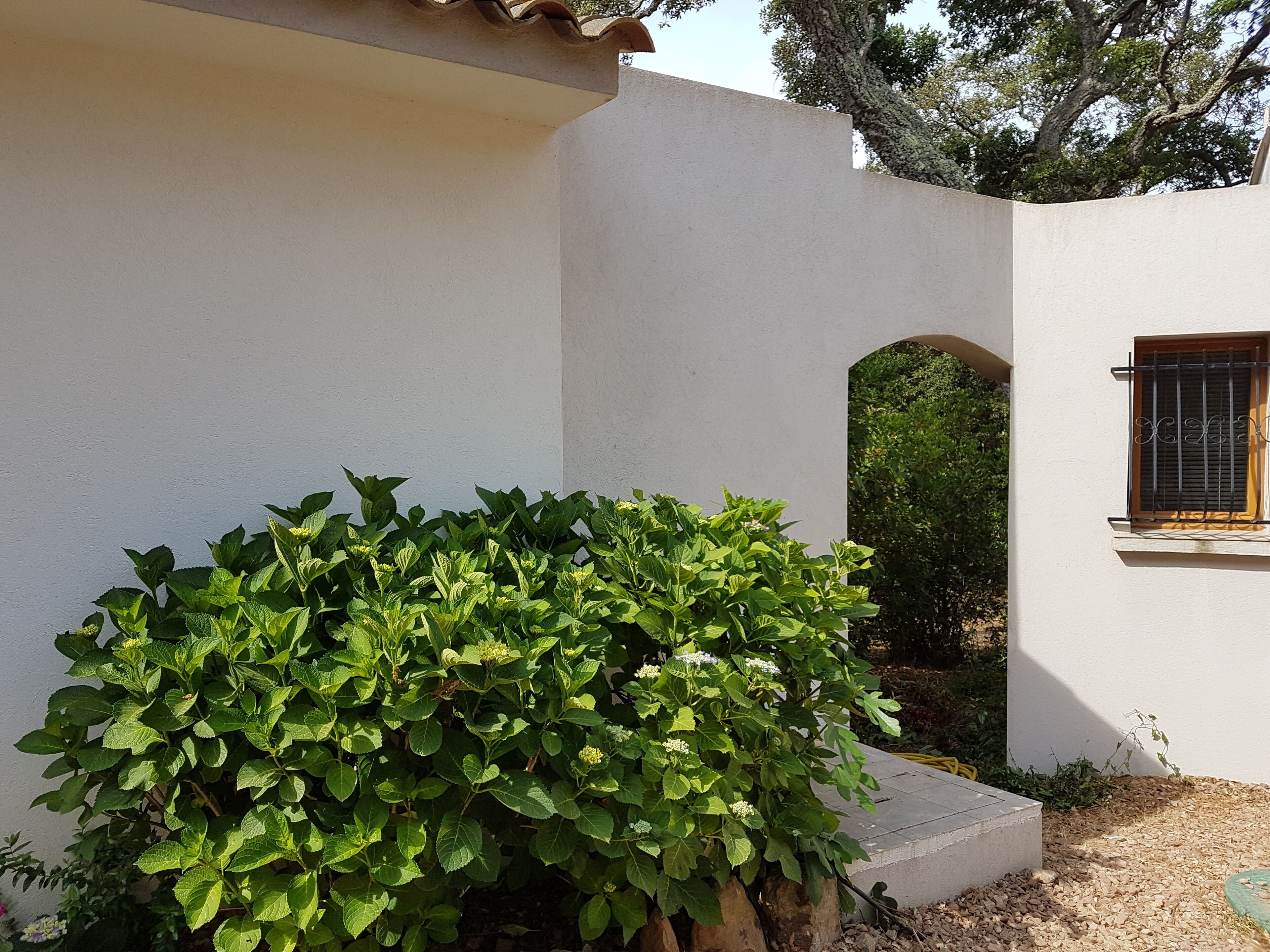 Details aan de buitenkant