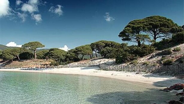 Ein Strand mit klarem Wasser, felsigem Ufer und Bäumen.