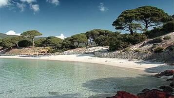 Playa en los alrededores