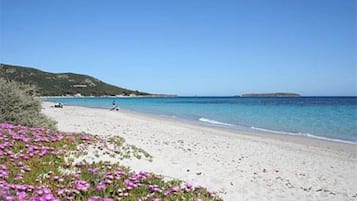 Una spiaggia nelle vicinanze