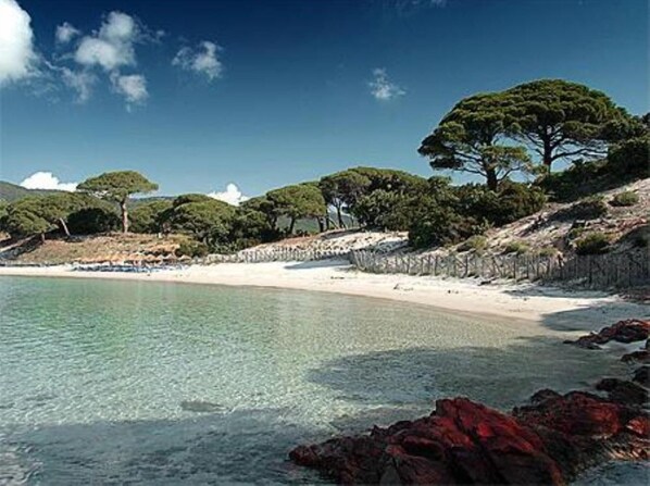 Une plage avec une eau claire, un rivage rocheux et des arbres.
