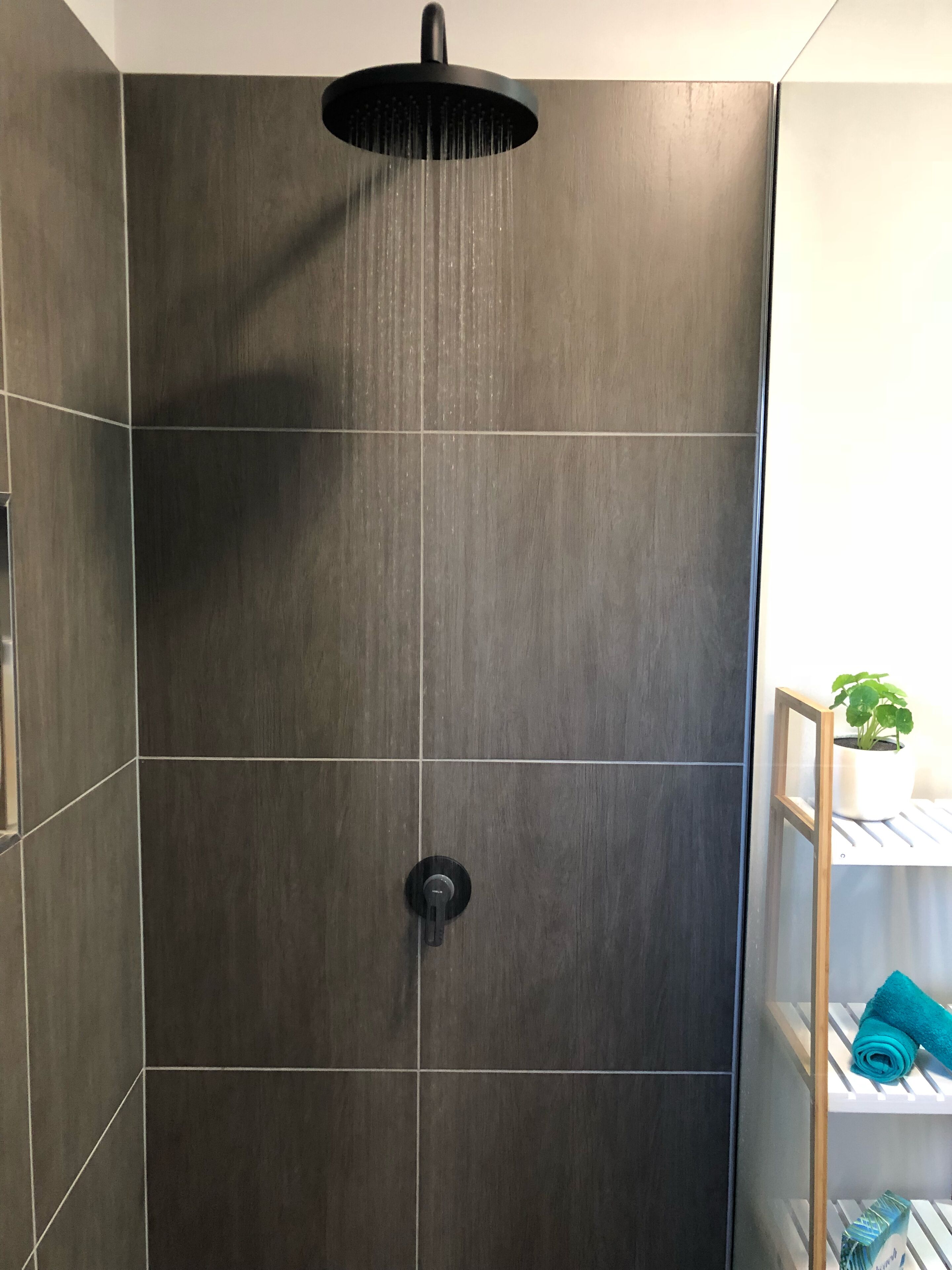 Flame Trees - Hydeaway/Hideaway Bay — image 4