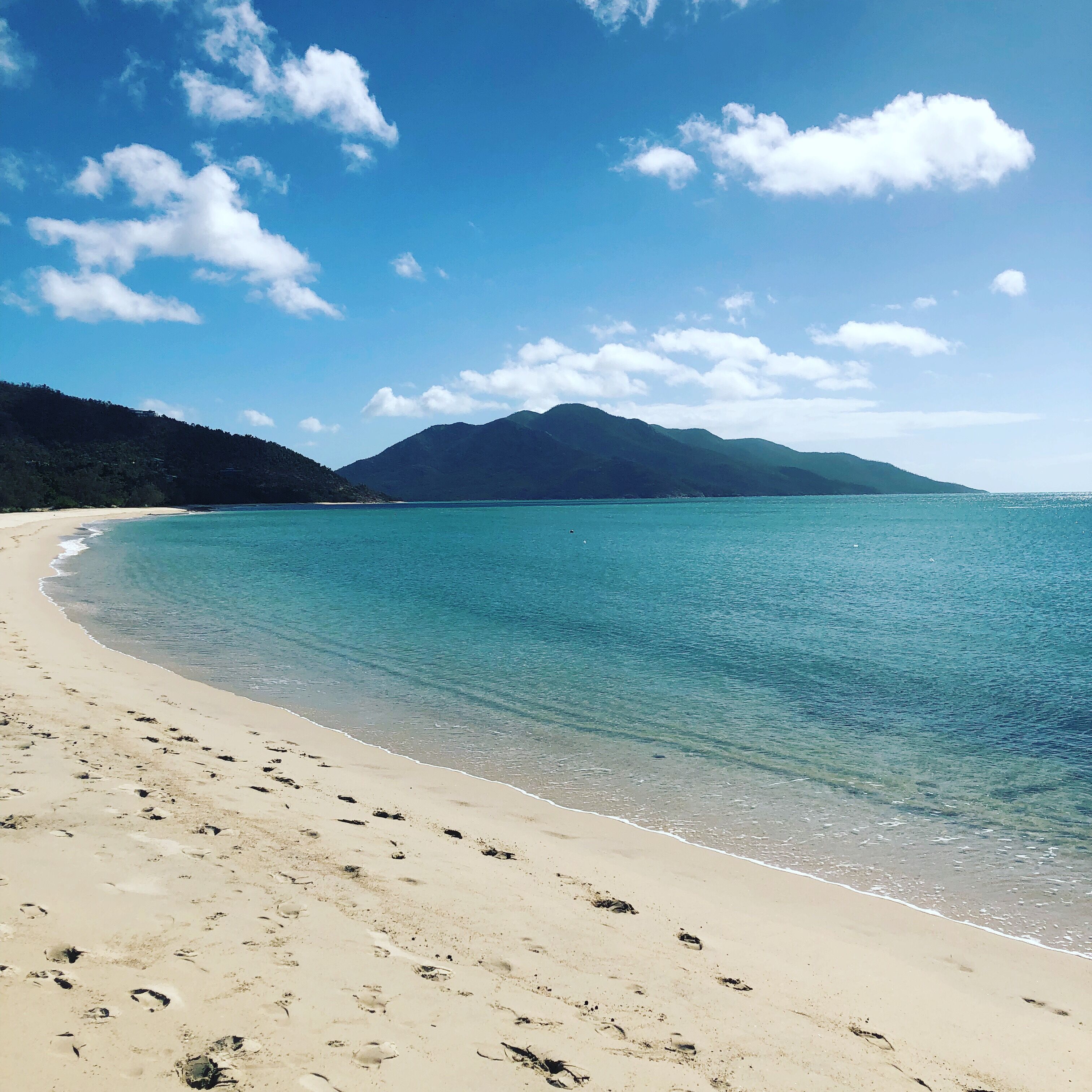 Flame Trees - Hydeaway/Hideaway Bay — image 27