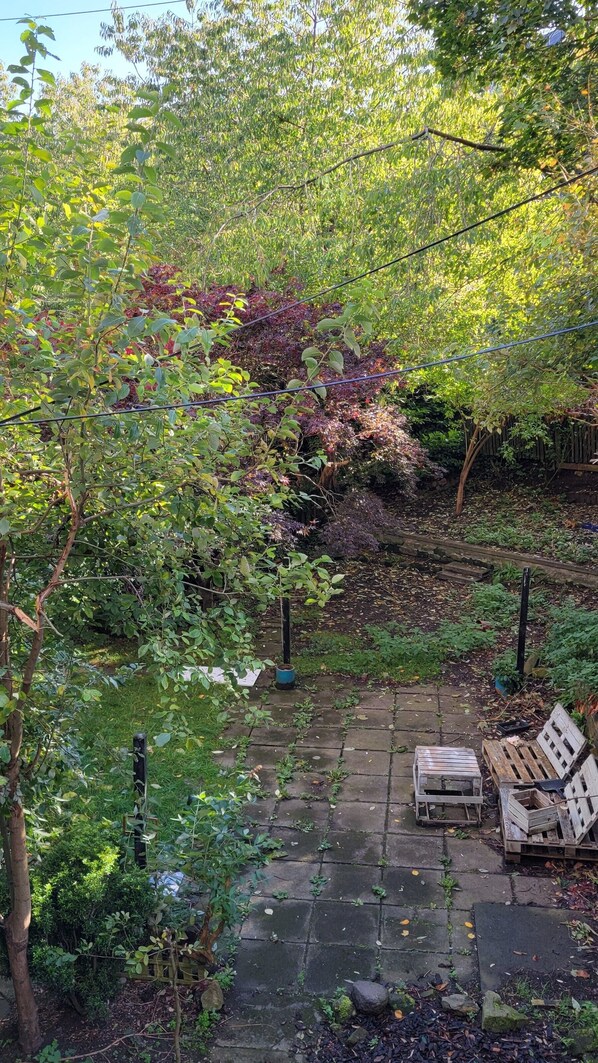 Un jardin avec un sentier en pierre, des bancs en bois et différentes espèces de plantes.