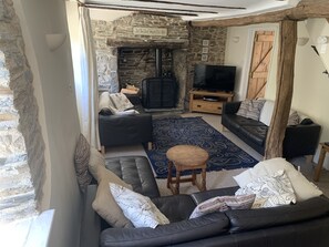 Televisor intel·ligent i llar de foc 