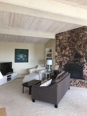 Smart TV, fireplace, video games, DVD player