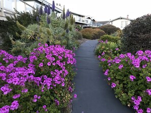 Stroll through lush gardens and modern architecture.