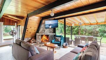 TV, fireplace, Netflix, streaming services