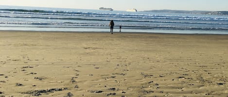 Una spiaggia nelle vicinanze