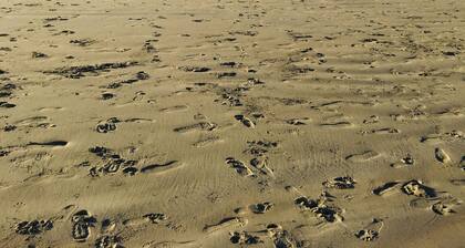 Ensenada,Near to Estero beach,Great location for Baja races large parking inside