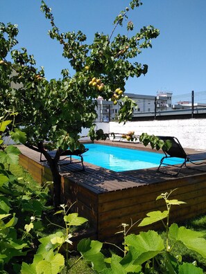 Ein Schwimmbad mit Holzterrasse, umgeben von üppiger Vegetation und einem Baum mit Früchten.