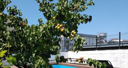 VILLA FRANCOIS Ă  quelques mĂštres de la rue principale de Torre Annunziata