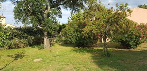 المنطقة المح يطة بالمنشأة