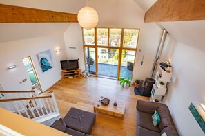 TV, video games, books