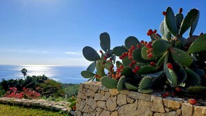 A stone wall with a cactus garden and a view of the ocean. - Timeless: Detached Villa with private heated pool and panoramic views (Siracusa)