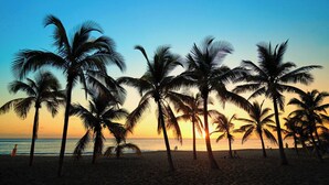 Una playa con palmeras y un atardecer.