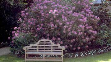 Tuin