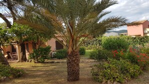 A garden with a palm tree, various shrubs, and a building with a pink facade. - Small house 4/6 persons 700 m from the beach of st cyprien (Porto-Vecchio)