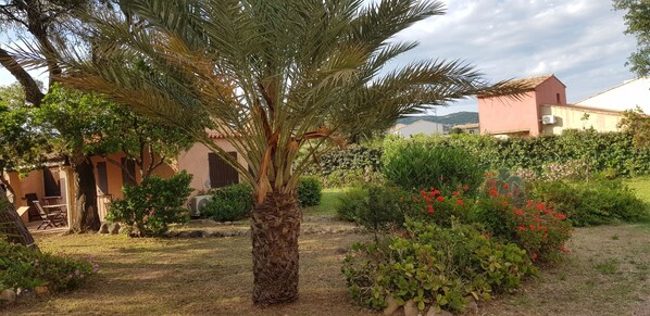 Terrain de l’hébergement 