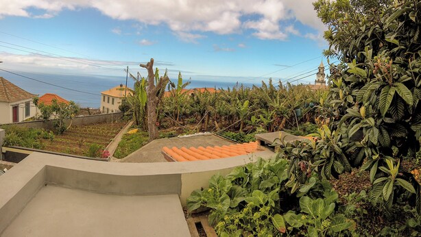 A rooftop garden with a concrete floor, surrounded by various plants and trees, overlooking a residential area and the sea. -  Typical Farm Apartment, sunny views. (Arco Da Calheta)